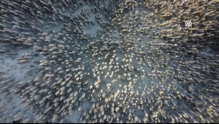 Ilgaz Dağı'nda kartpostallık görüntüler - Resim: 16